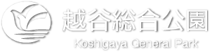 越谷総合公園